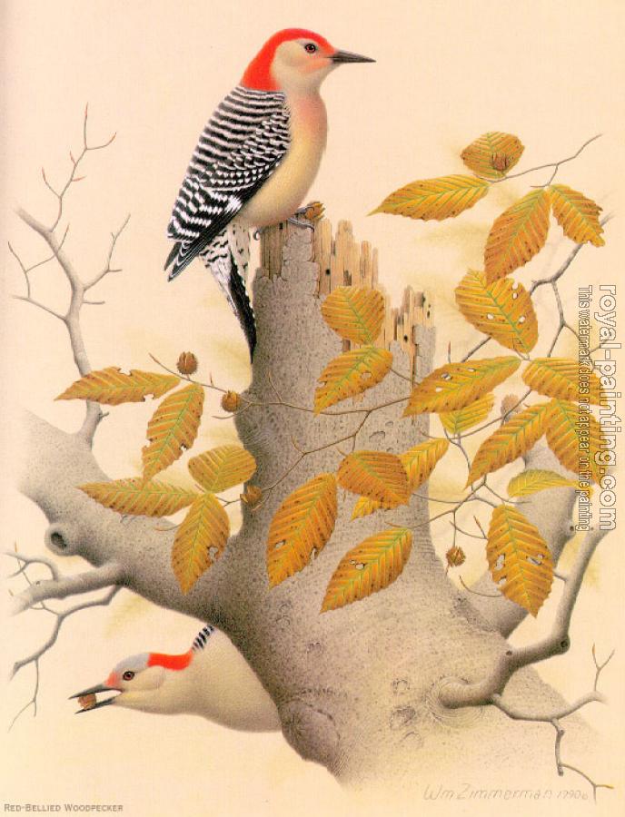 William Zimmerman : Red-bellied Woodpecker